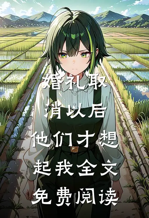 婚礼取消以后，他们才想起我全文免费阅读