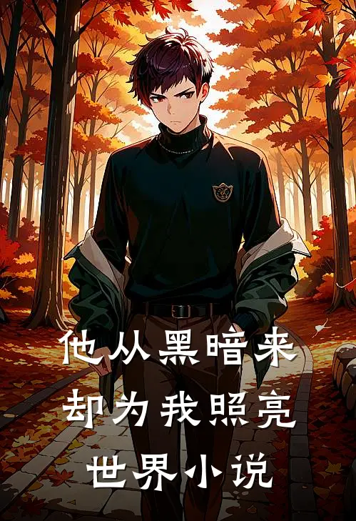 他从黑暗来,却为我照亮世界在线阅读