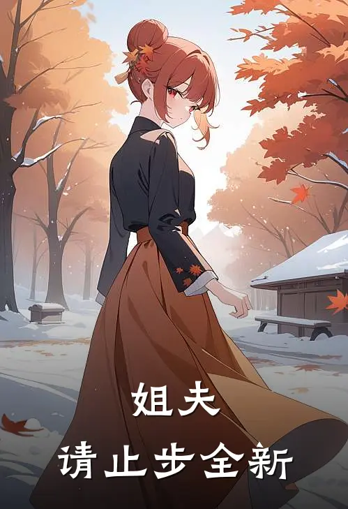 姐夫,请止步全新