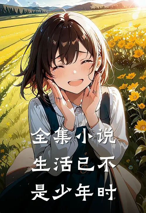 全集小说生活已不是少年时