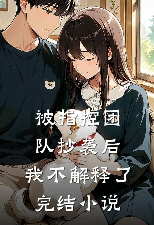 被指控团队抄袭后,我不解释了完结在线阅读