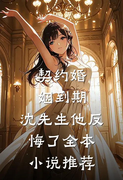 契约婚姻到期，沈先生他反悔了全本小说推荐