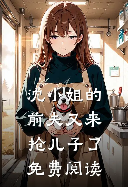 沈小姐的前夫又来抢儿子了免费阅读