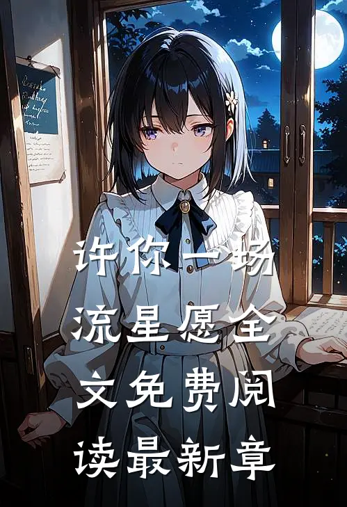 许你一场流星愿全文免费阅读最新章