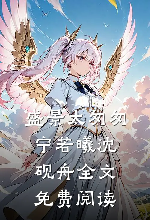 盛景太匆匆宁若曦沈砚舟全文免费阅读