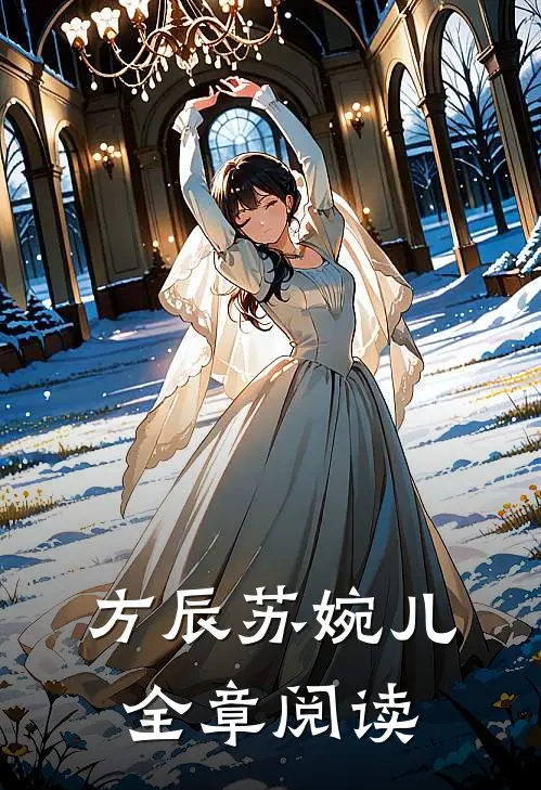 方辰苏婉儿全章阅读