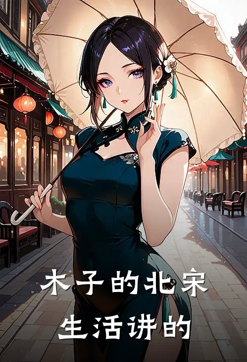 木子的北宋生活讲的