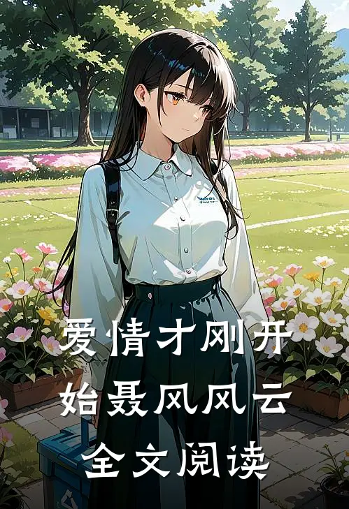 爱情才刚开始聂风风云全文阅读