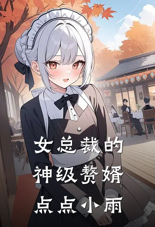女总裁的神级赘婿点点小雨