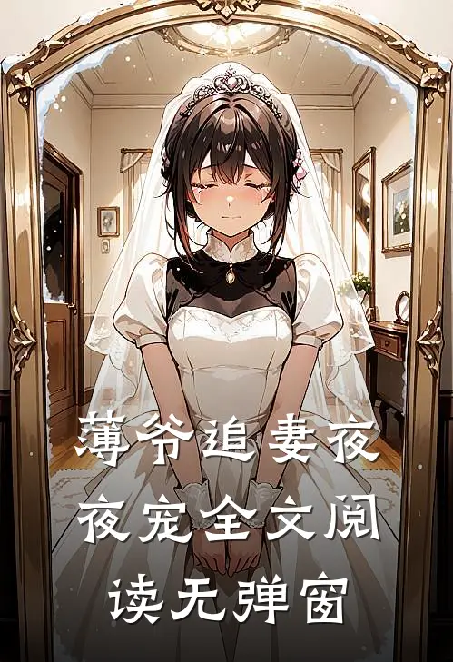 薄爷追妻夜夜宠全文阅读无弹窗
