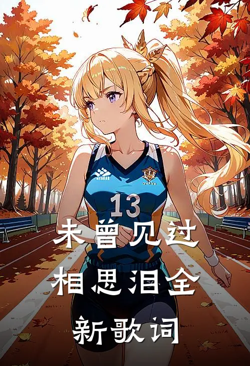 未曾见过相思泪全新歌词