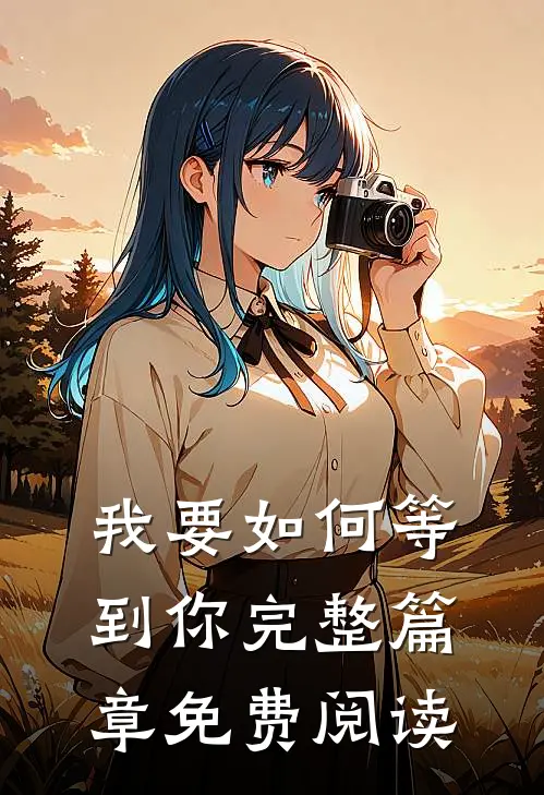 我要如何等到你完整篇章免费阅读