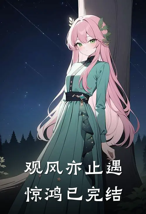 观风亦止遇惊鸿已完结