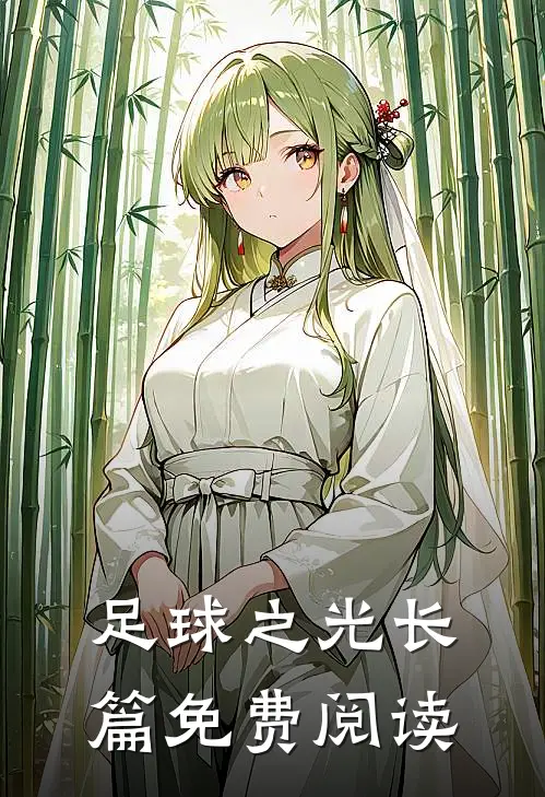 足球之光长篇免费阅读