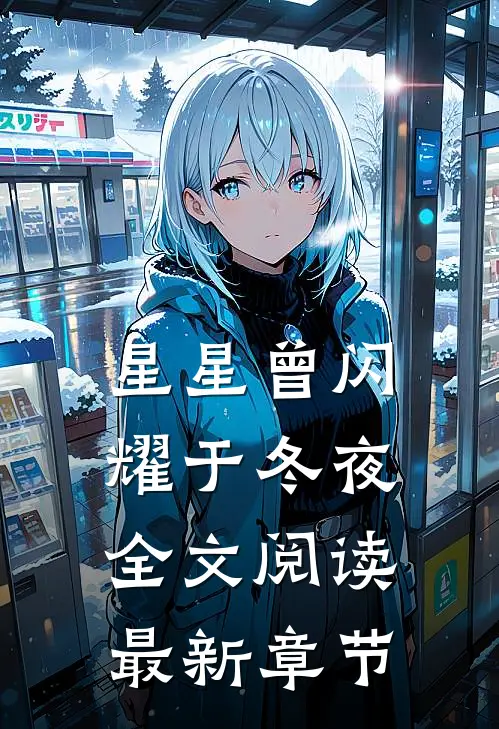 星星曾闪耀于冬夜全文阅读最新章节