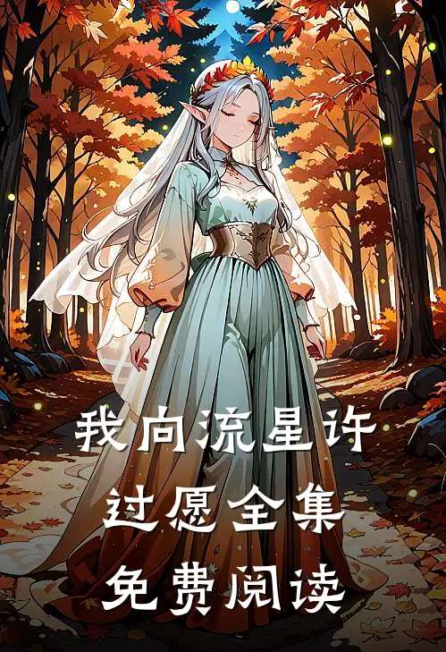 我向流星许过愿全集免费阅读