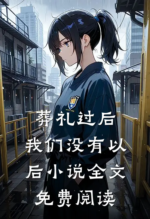 葬礼过后，我们没有以后小说全文免费阅读