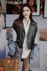 黎明夕照全本小说推荐