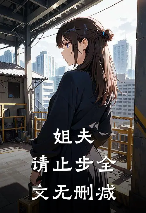 姐夫,请止步全文无删减在线阅读