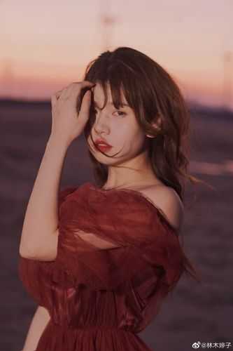 雁过无声秋已完结版