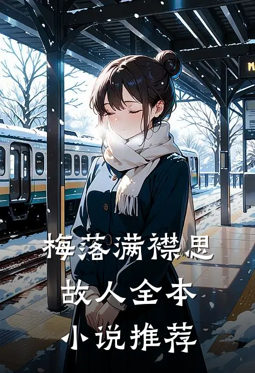 梅落满襟思故人全本小说推荐