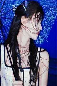 愿我如你，铮铮不折热门