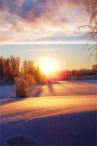 五零：穿成资本家后我靠军工逆袭笔趣阁