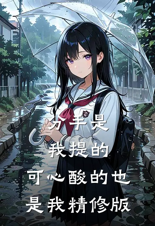 分手是我提的,可心酸的也是我精修版歌词