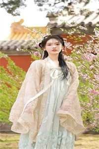 恶毒女配不随军，冷面大佬他急了完结文