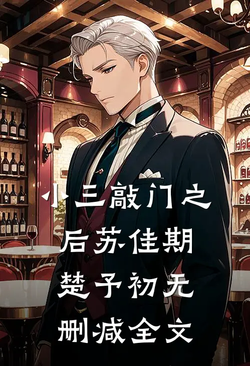 小三敲门之后苏佳期楚予初无删减全文