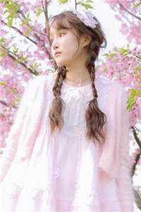 雾隐那年桥免费看