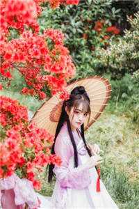 黑土地上的铿锵玫瑰全文免费阅读