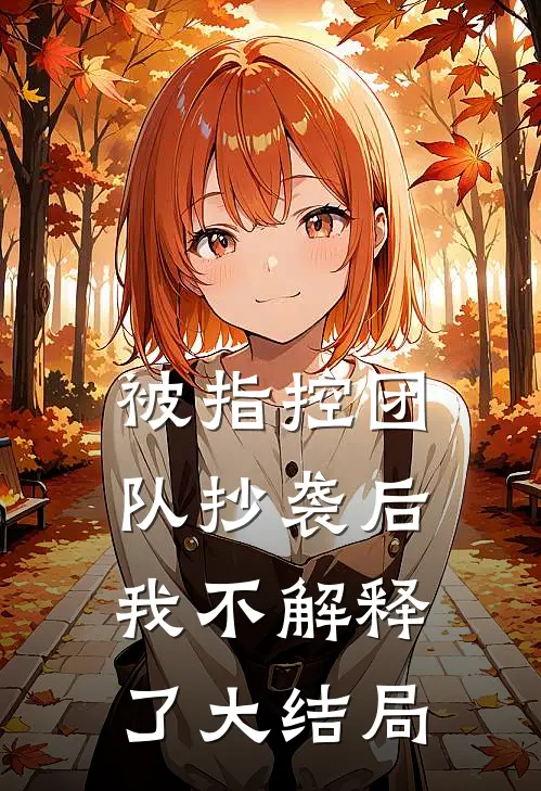 被指控团队抄袭后,我不解释了大结局是