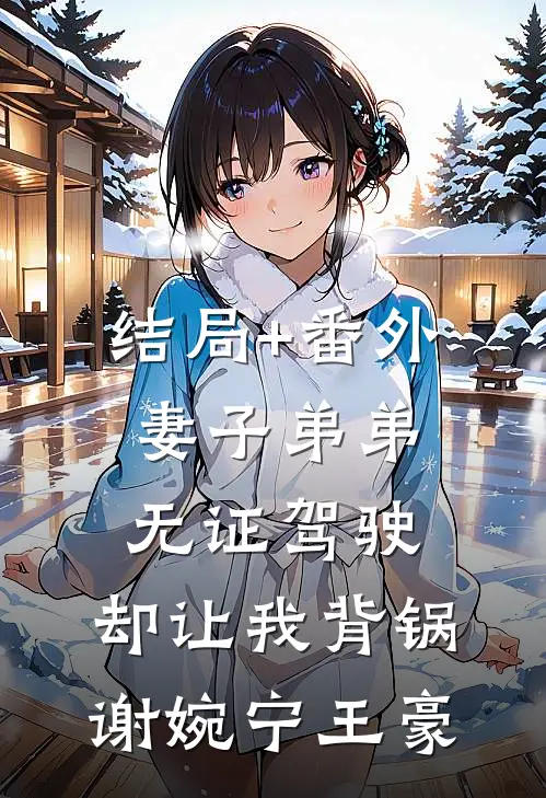 结局+番外妻子弟弟无证驾驶，却让我背锅谢婉宁王豪