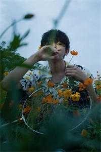 你似雪青郎君，我非杏花新娘全章阅读