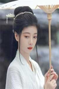 穿成反太子，开局十万大雪龙骑季临渊赵子龙后续+全文