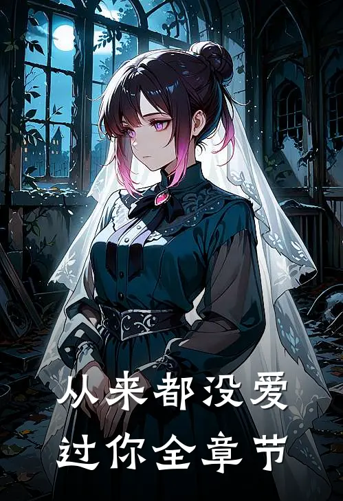 从来都没爱过你全章节阅读