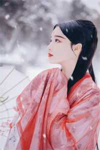 细雨洇湿青衫好书