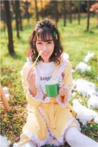 灯火阑珊，你已不在全本