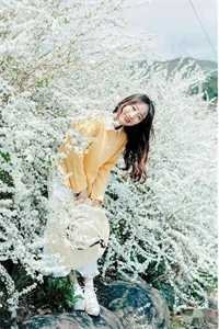 南柯覆不见经年后续+结局