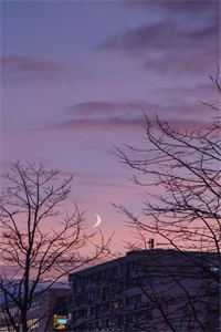 也曾梦中赴白首全局