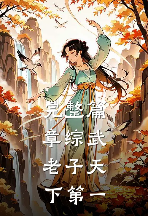 完整篇章综武：老子天下第一