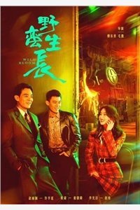 青梅有悲秋症，我把丈夫葬在冬天广告+结局