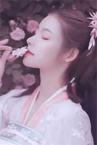 你曾是我的风景小说全文免费阅读