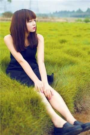 南柯覆不见经年良心推荐