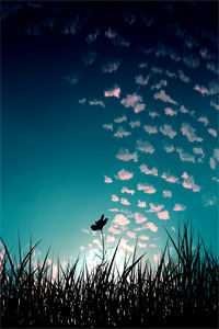 闪婚半熟，提离婚太子爷跪求复合小说大结局