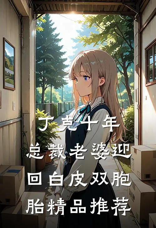 丁克十年，总裁老婆迎回白皮双胞胎精品推荐