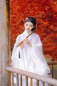 人似秋鸿来有信已完结版