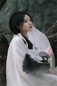 灯火阑珊，你已不在完结版