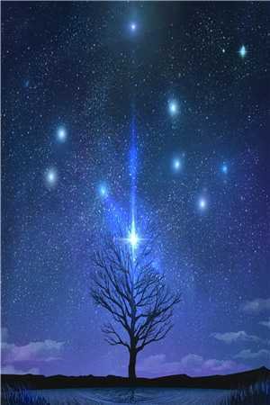 也曾红豆寄相思异常火爆